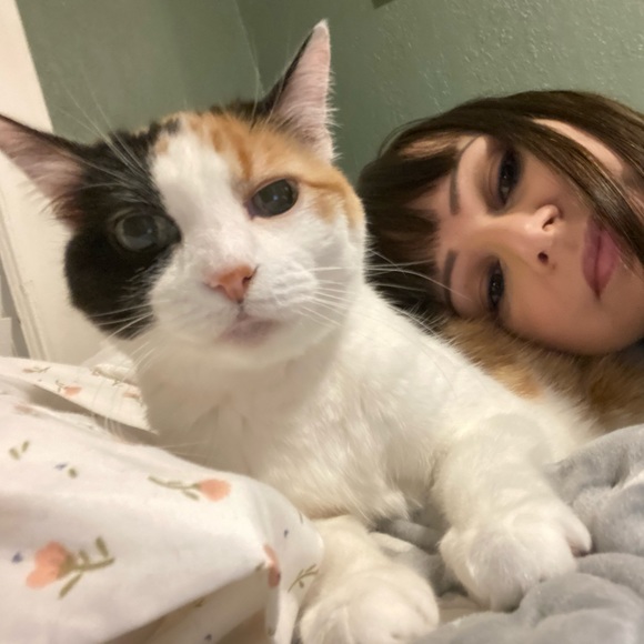 Meet your Posher, Amy - Picture 1 of 1